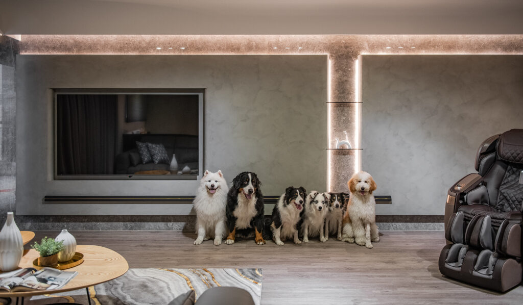 中古屋翻修｜共棲靜寓，遠雄名犬哥住宅-0