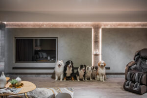 中古屋翻修｜共棲靜寓，遠雄名犬哥住宅-1